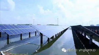 渔光一体 引领全球 菁渔渔业以清洁能源共谱水产养殖「光伏欢乐颂」