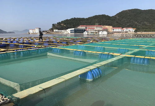水产养殖掀起“绿色革命”——浙江宁波象山创建省级渔业转型发展先行区工作纪实