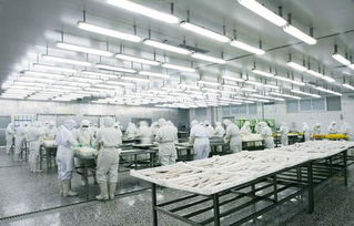 食品冷库能效设施评估指标征求意见 菁渔渔业的专业视角与实践建议