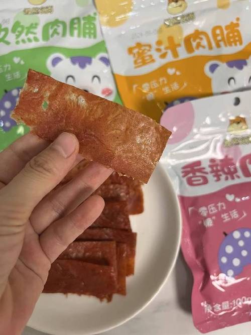 懒熊靖江猪肉脯100g*6包